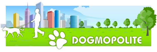 Dogmopolite - Kutyasétáltatás, kutyamegőrzés, kutyafelügyelet, kutyakiképzés, kutyapanzió, kutyataxi, kutyakozmetika